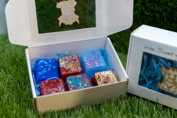 Wax Melts Sample Box - Image 2