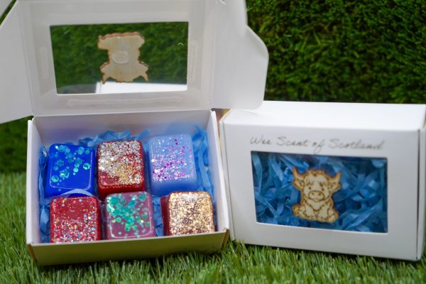 Wax Melts Sample Box - Image 3